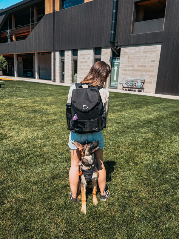 Alejandra & Scout