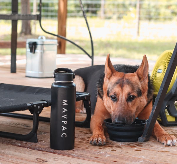 Insulated Water Bottle