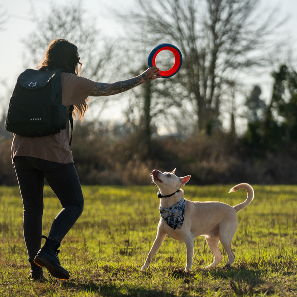 Dog Essentials Backpack
