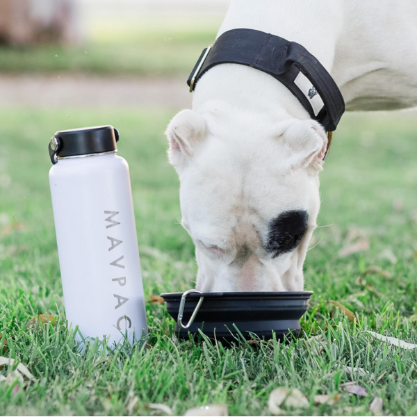 Insulated Water Bottle