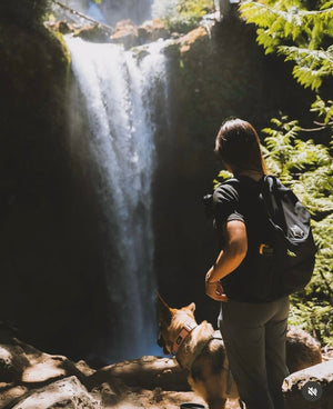 Why Dog Owners in 2025 Are Redefining Adventure