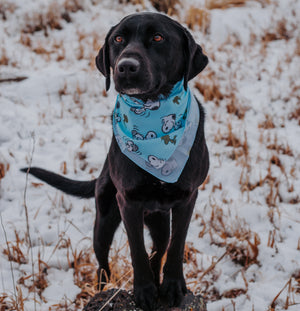 Charlie