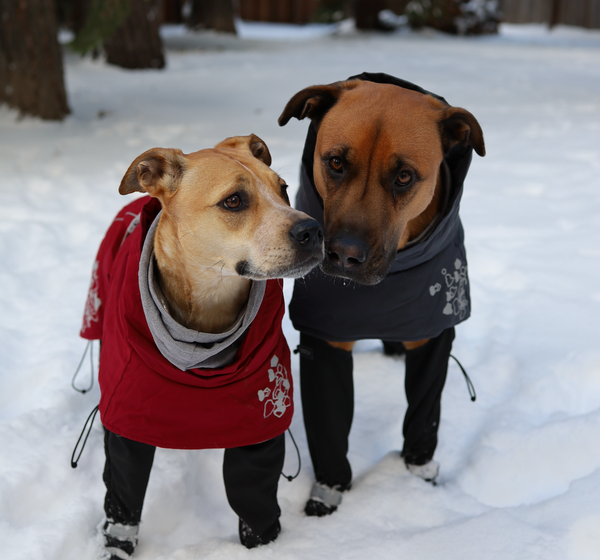 Takeo & Beni