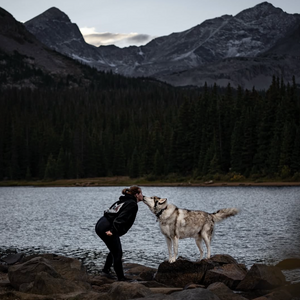 The Secret to Stress-Free Dog Parenting