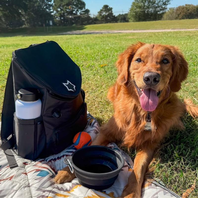 Emma + Koda & Timber