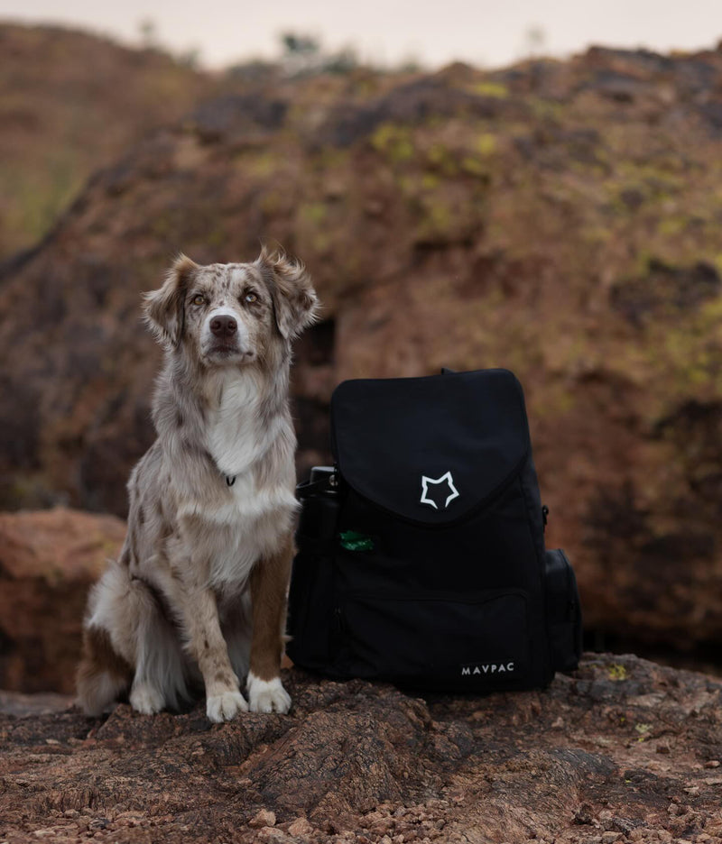 Caitlin + Elle & Odie