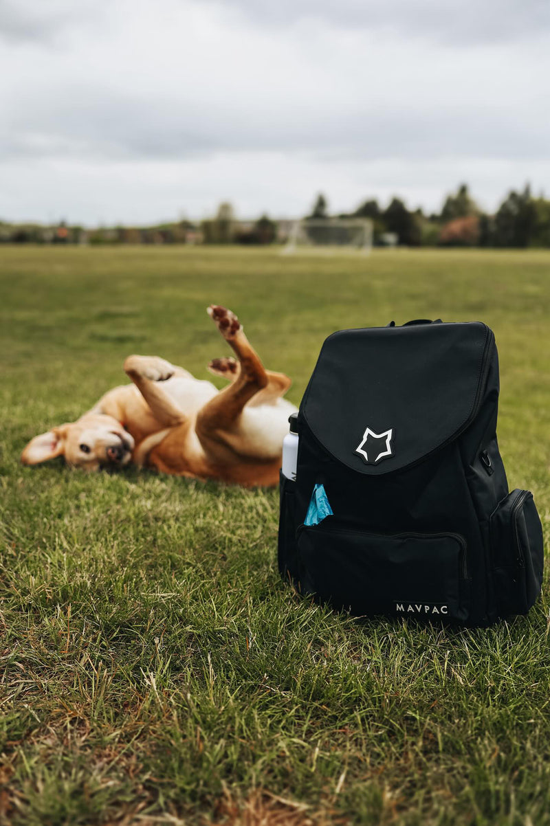 Katie + Pepper & Benny