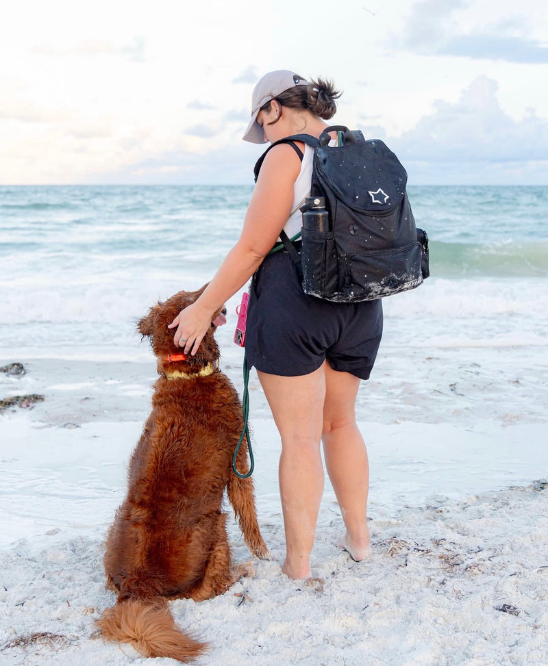 Nicole + Ranger & Apollo