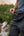 MAVPAC Mini Belt Bag