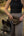 MAVPAC Mini Belt Bag