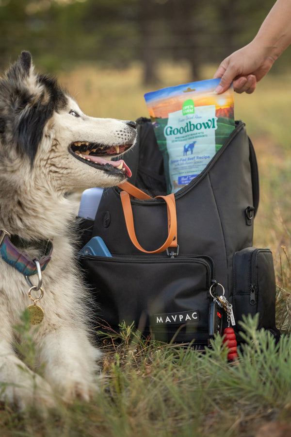 MAVPAC Essentials Backpack