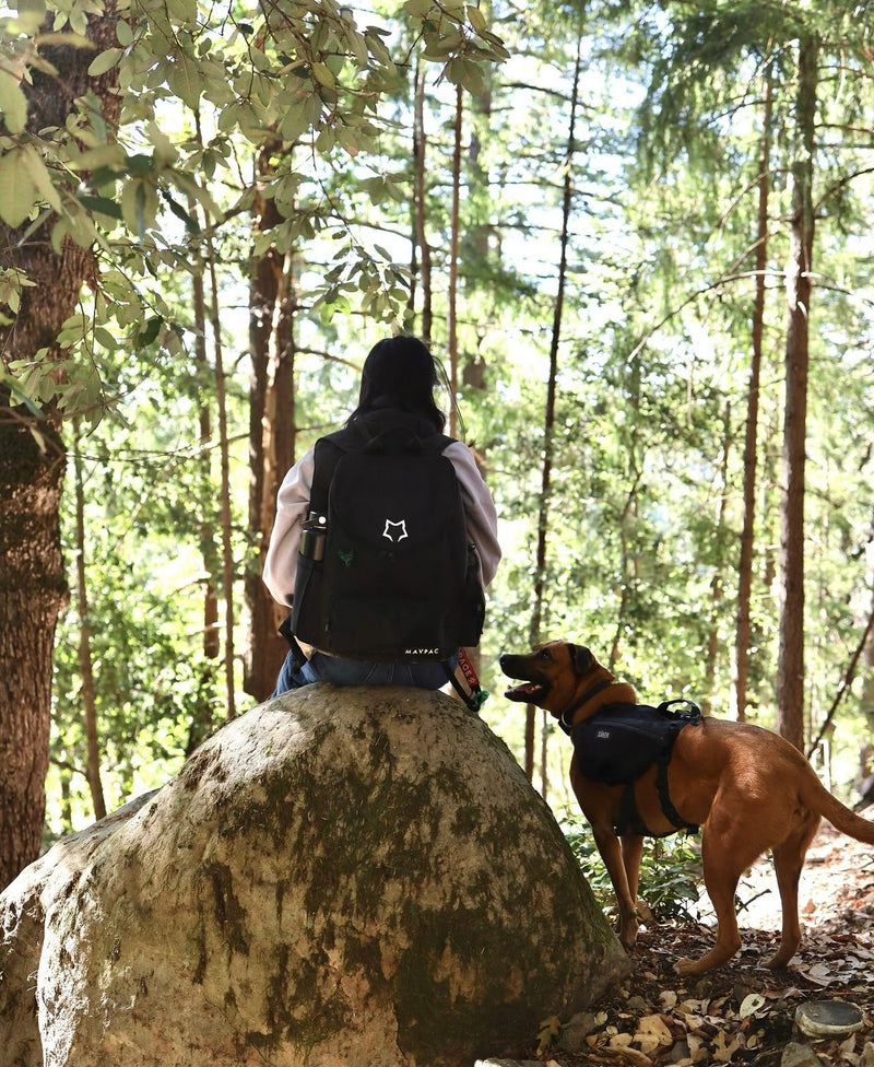 Shannon + Takeo & Beni