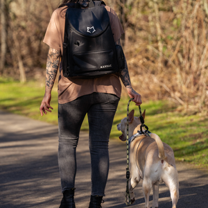 MAVPAC dog backpack interior with multiple organized pockets