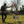 Dog Essentials Backpack